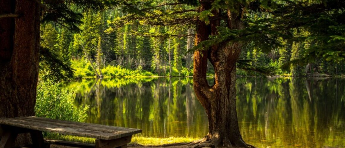 bench lake park recreational area 2178847