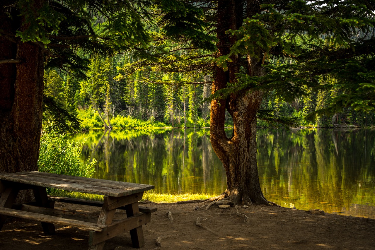 bench lake park recreational area 2178847