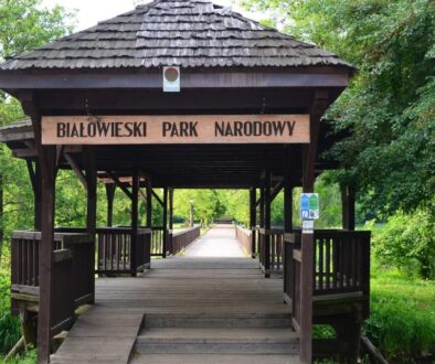 biaowiea the national park 855841